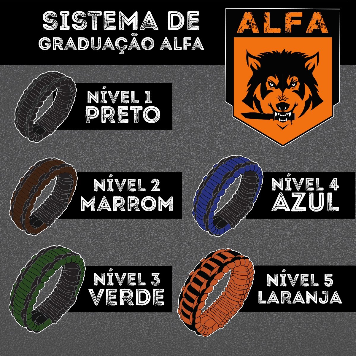 Sistema de Graduação ALFA